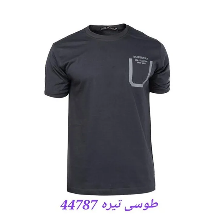 تیشرت یقه گرد مردانه  سایز L، XL، XXL، XXXL جنس پنبه نوع تیشرت طرح پارچه ساده رنگ طوسی تیره 44787 مشکی 44788 خردلی 44789