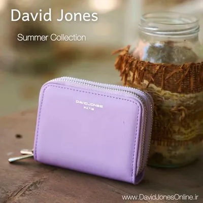 David Jones IR005