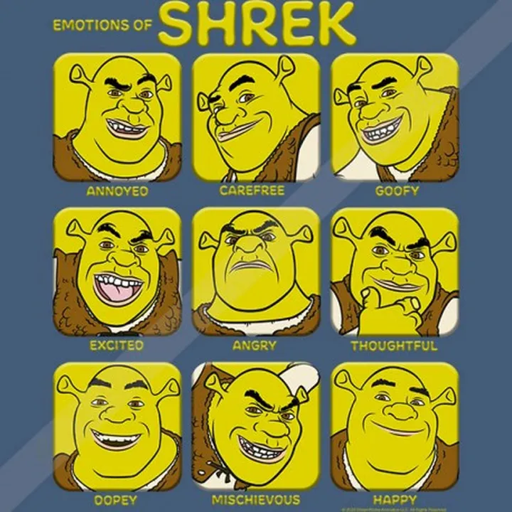 تیشرت Many Emotions Of Shrek