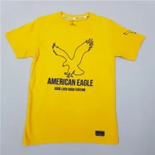 تی شرت مردانه برند AMERICAN EAGLE کد668101