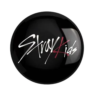 پیکسل خندالو مدل گروه استری کیدز Stray Kids کد 118...